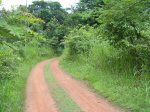 Girl Going Home. Typical dirt road. 